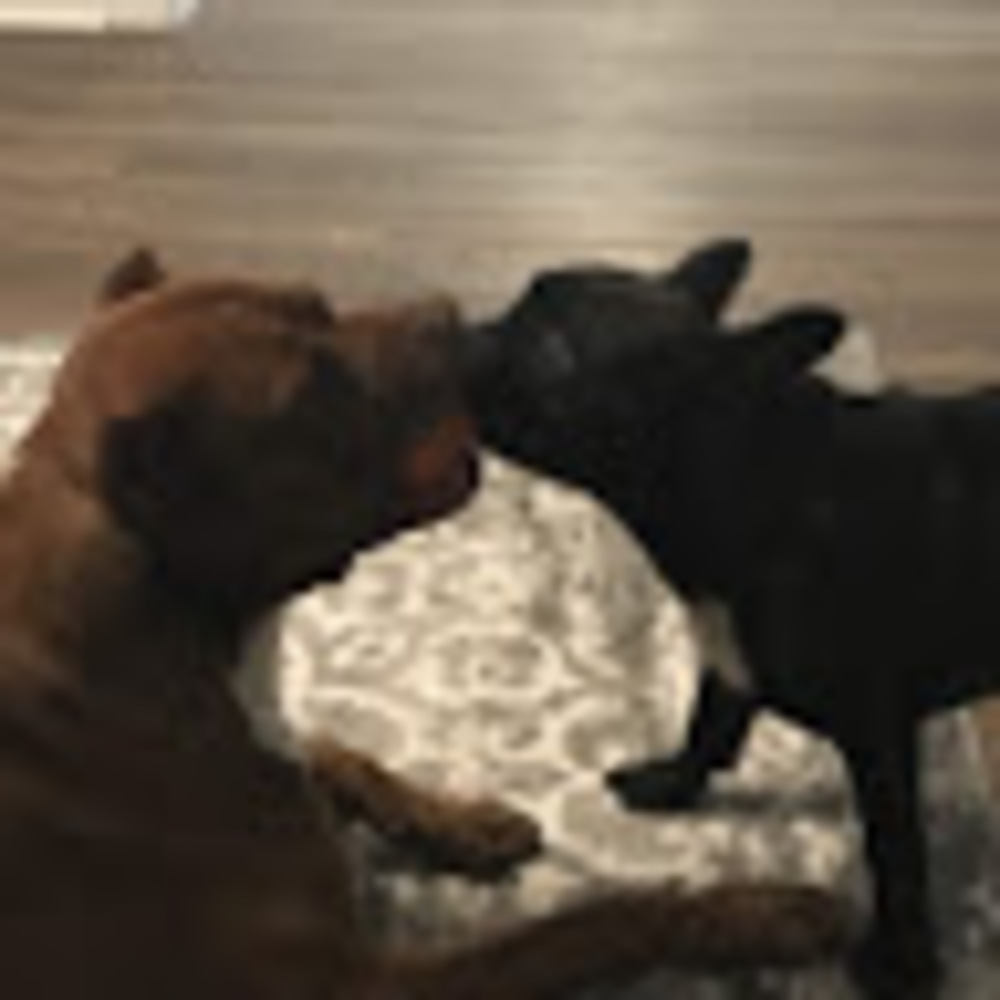 Meet your Posher, Angie